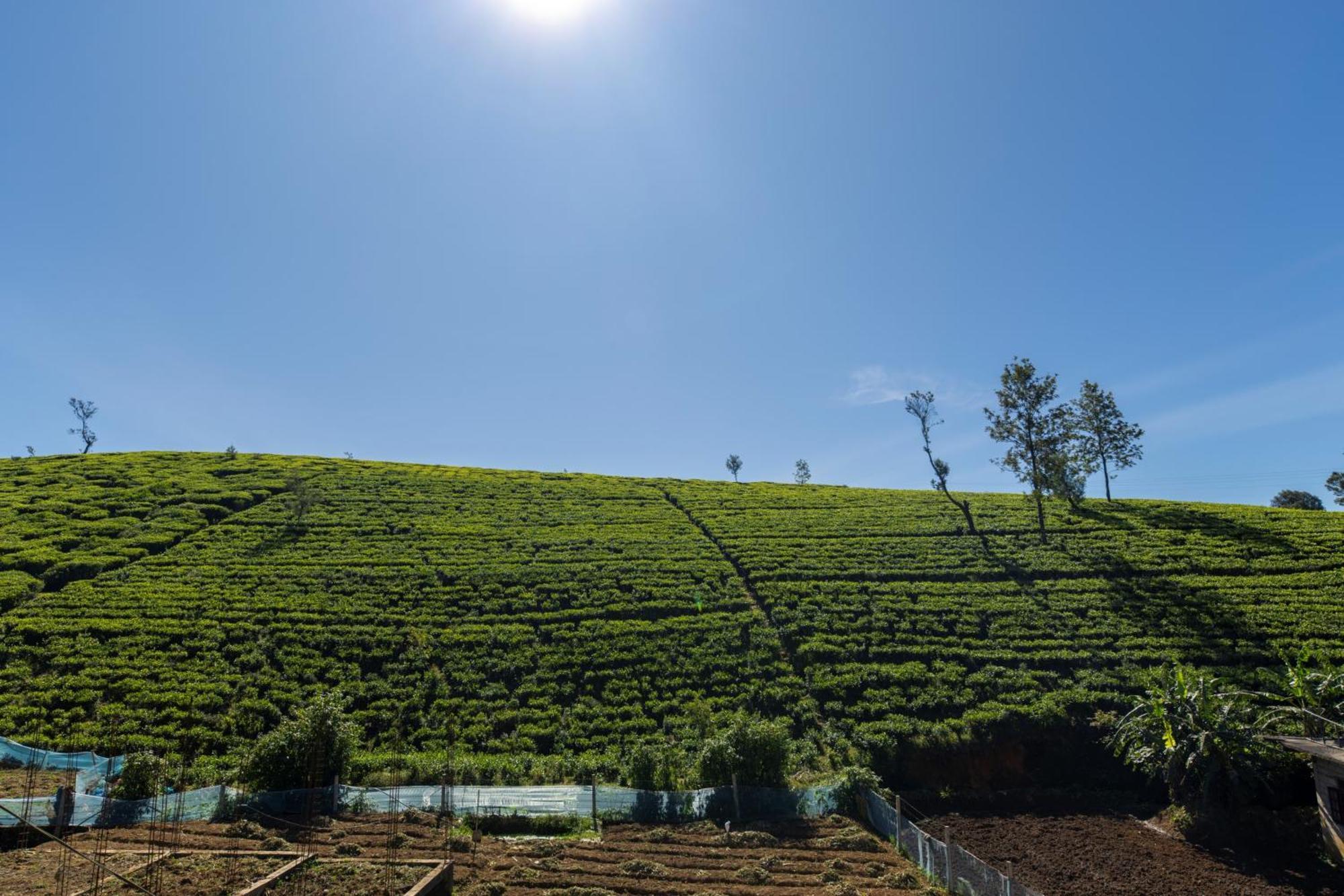 Palazzo Lake Gregory Nuwara Eliya Exterior foto